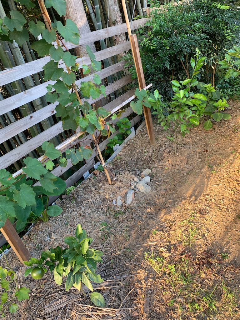 f:id:sakana78:20190917195456j:image f:id:sakana78:20190917195456j:image