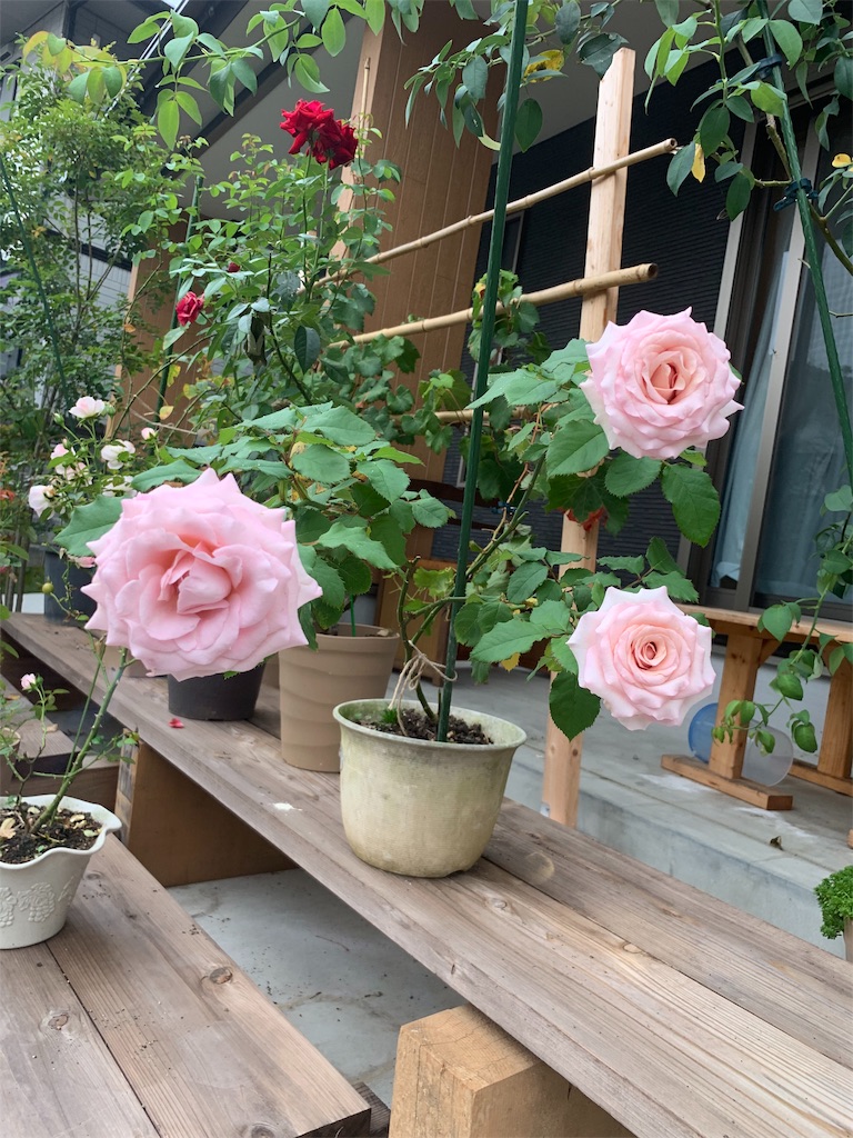 f:id:sakana78:20190928145047j:image f:id:sakana78:20190928145047j:image