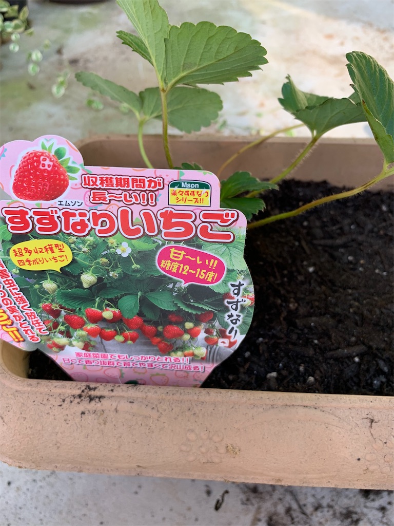 f:id:sakana78:20191010192531j:image f:id:sakana78:20191010192531j:image