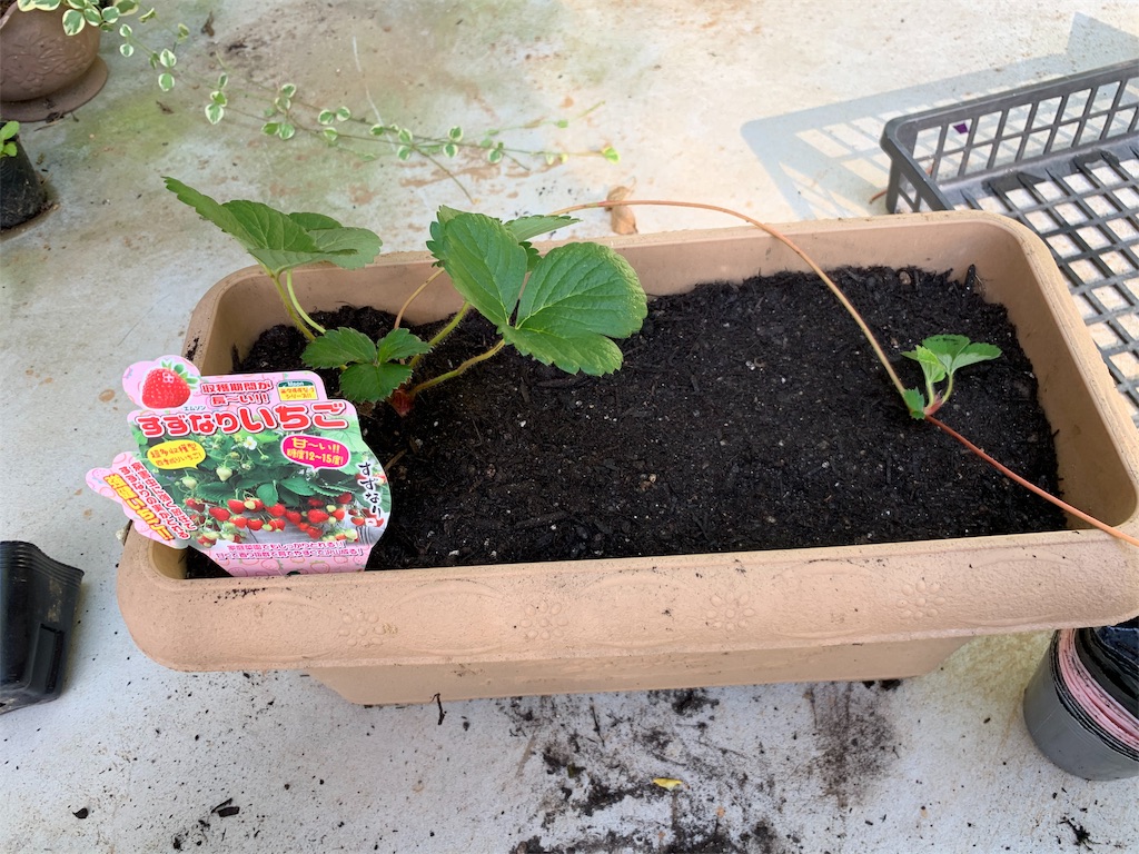 f:id:sakana78:20191010192549j:image f:id:sakana78:20191010192549j:image