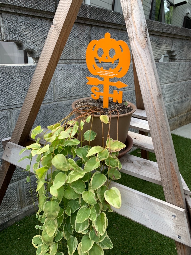f:id:sakana78:20191015211203j:image