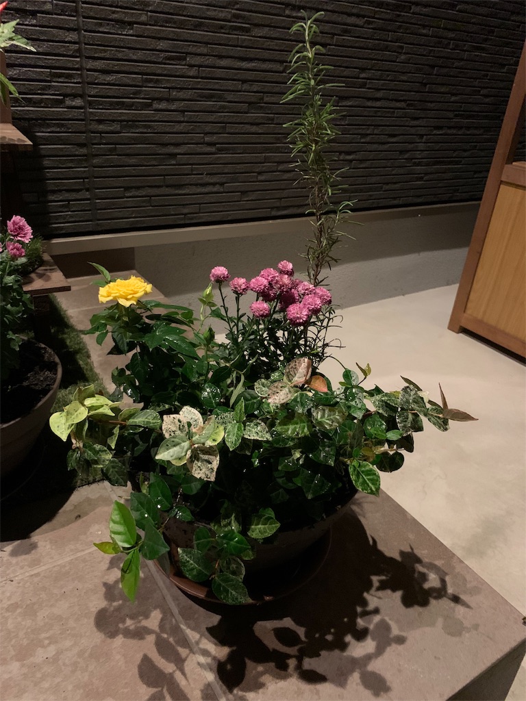f:id:sakana78:20191023205322j:image