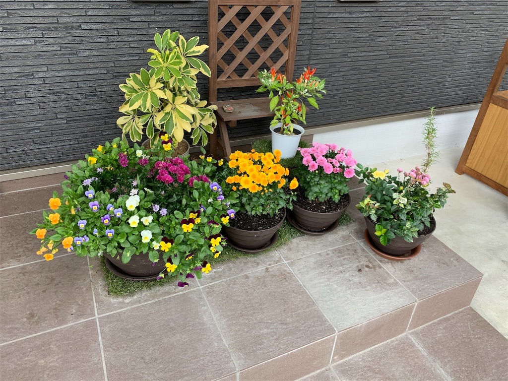 f:id:sakana78:20191103124506j:image f:id:sakana78:20191103124506j:image