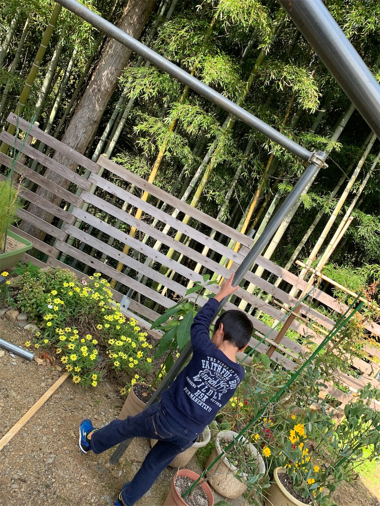 f:id:sakana78:20191110185259j:image