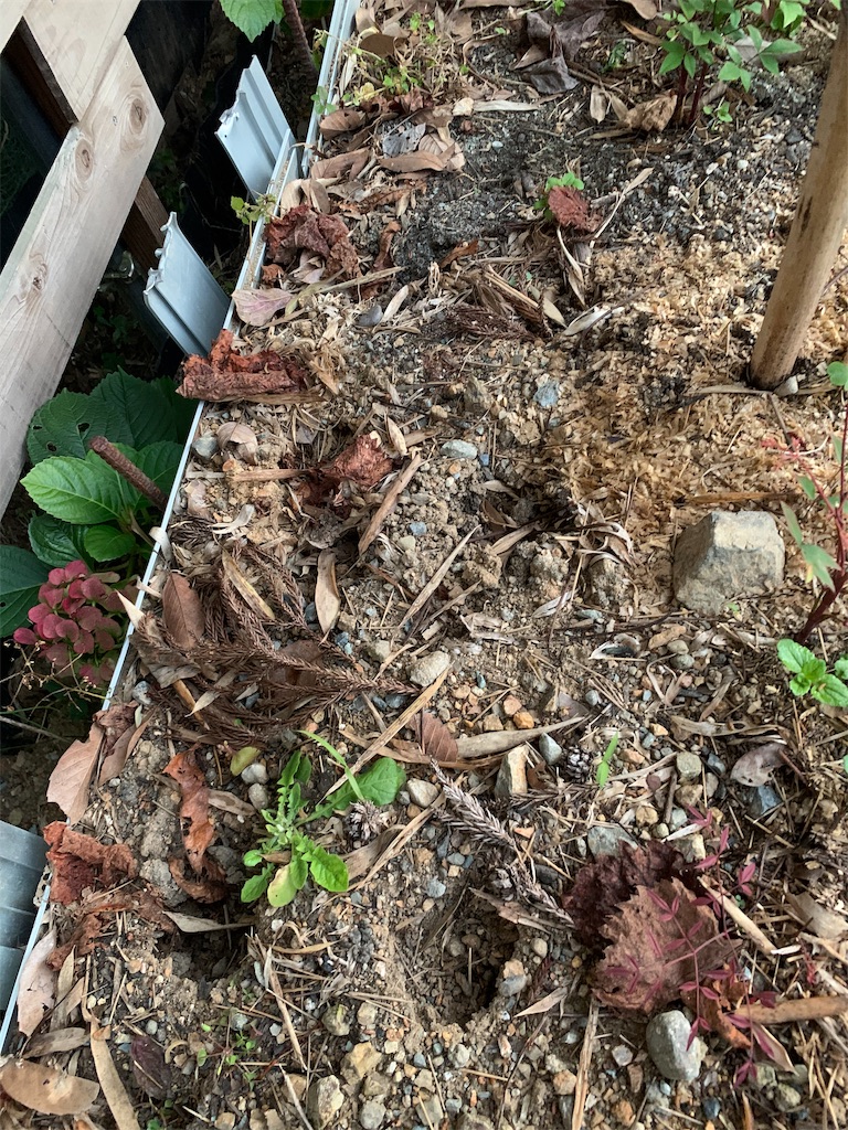 f:id:sakana78:20191116170548j:image