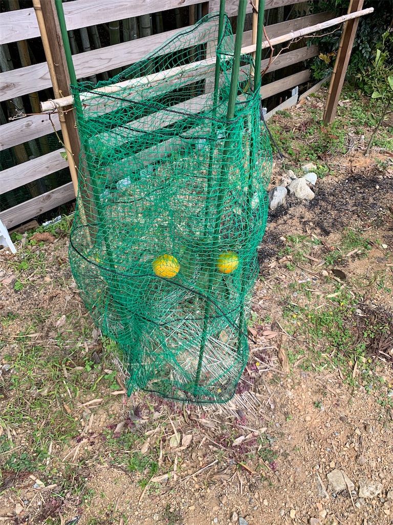 f:id:sakana78:20191118174715j:image f:id:sakana78:20191118174715j:image