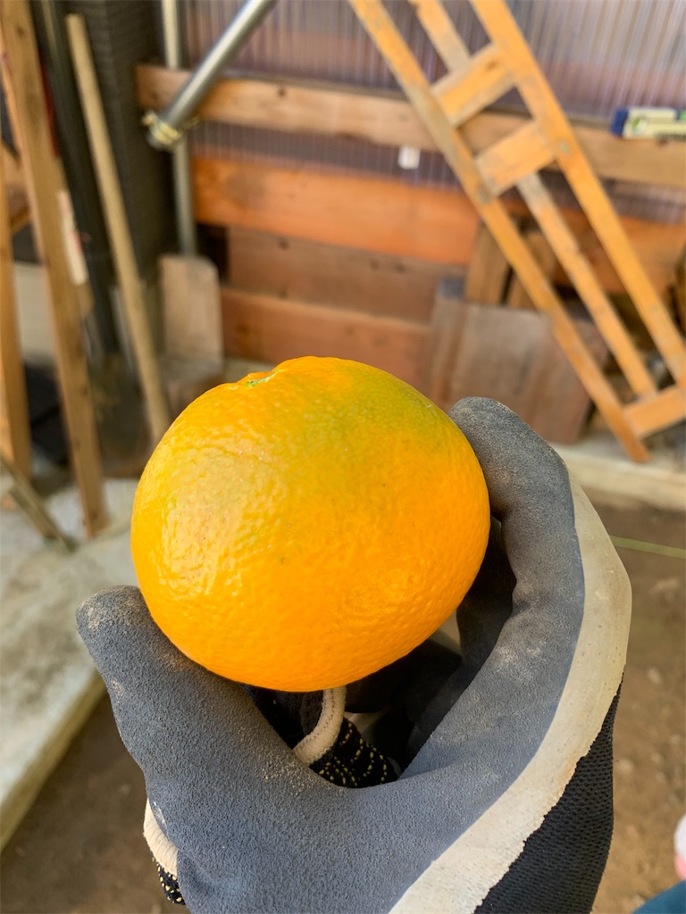 f:id:sakana78:20191123121457j:image f:id:sakana78:20191123121457j:image