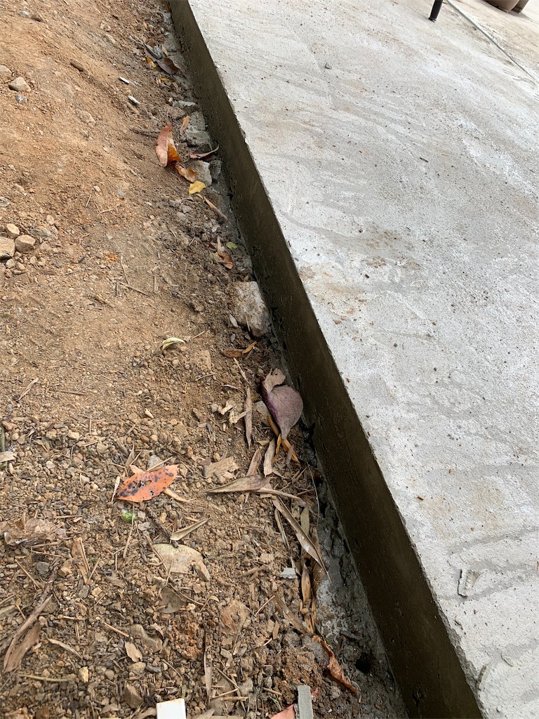 f:id:sakana78:20191128215937j:image f:id:sakana78:20191128215937j:image
