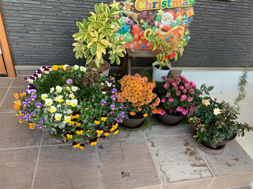 f:id:sakana78:20191203223645j:image