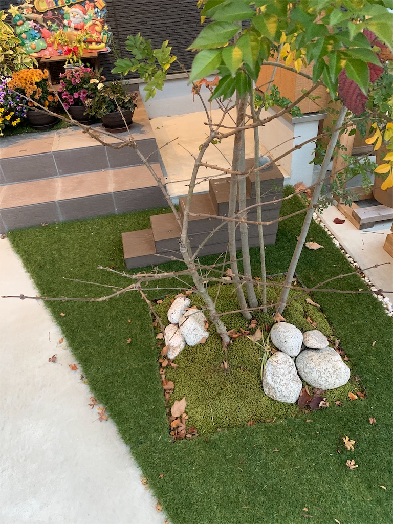 f:id:sakana78:20191205210629j:image