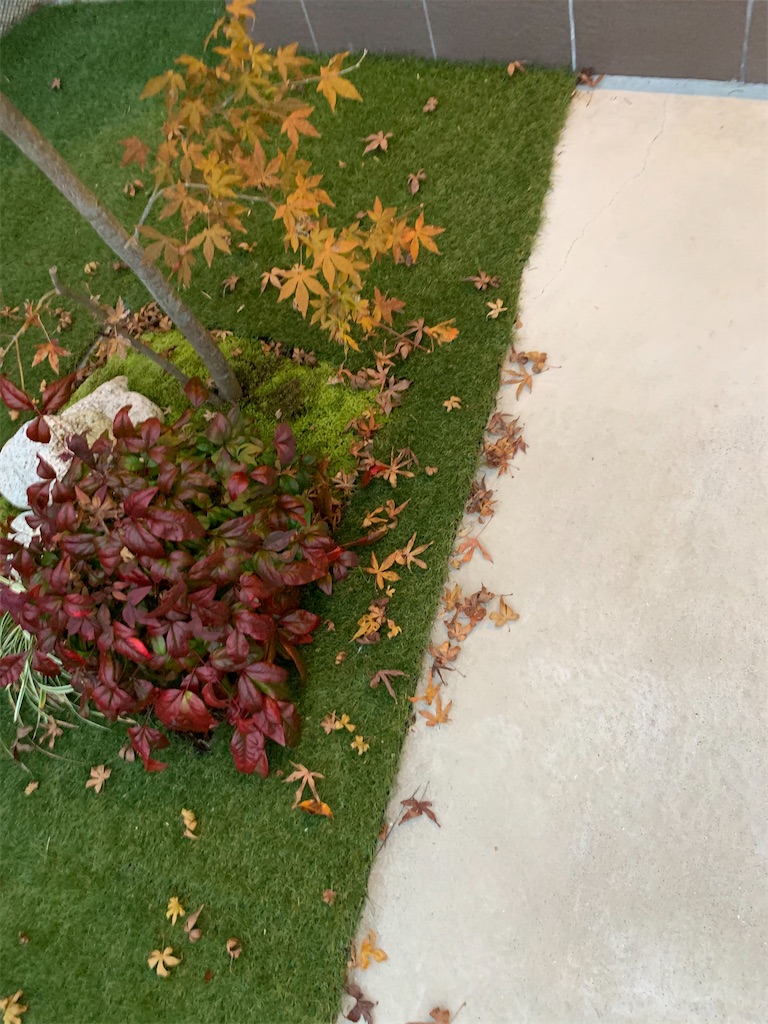 f:id:sakana78:20191205210641j:image