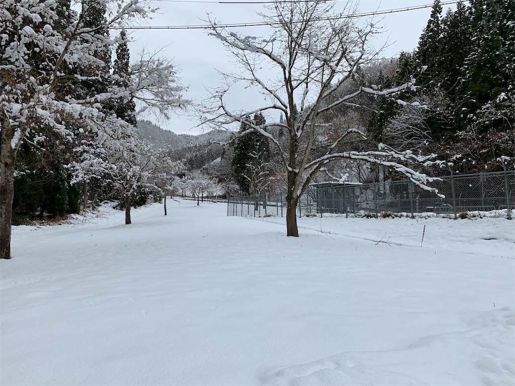 f:id:sakana78:20191207180131j:image f:id:sakana78:20191207180131j:image