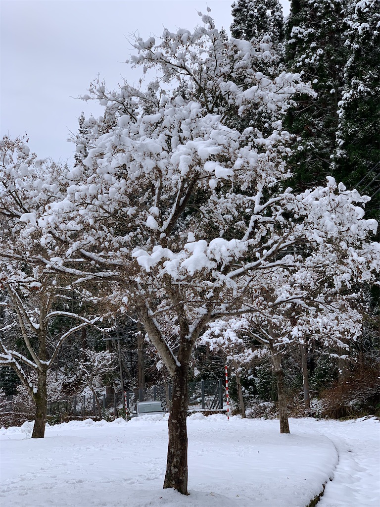 f:id:sakana78:20191207180715j:image f:id:sakana78:20191207180715j:image