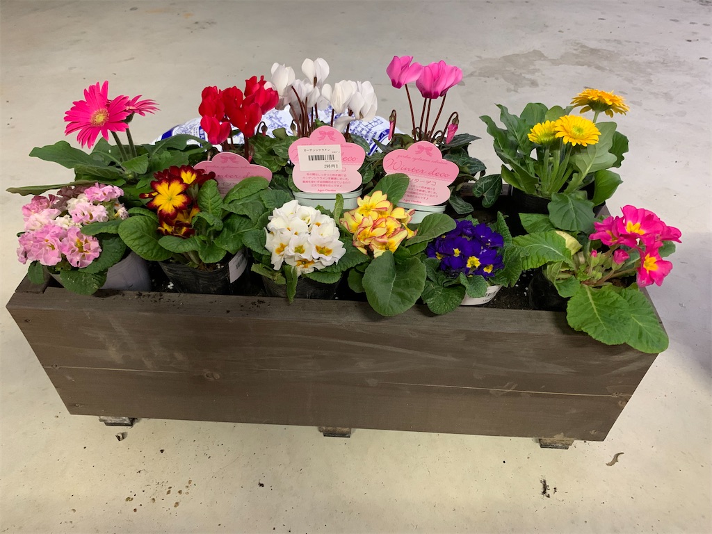 f:id:sakana78:20191209213126j:image