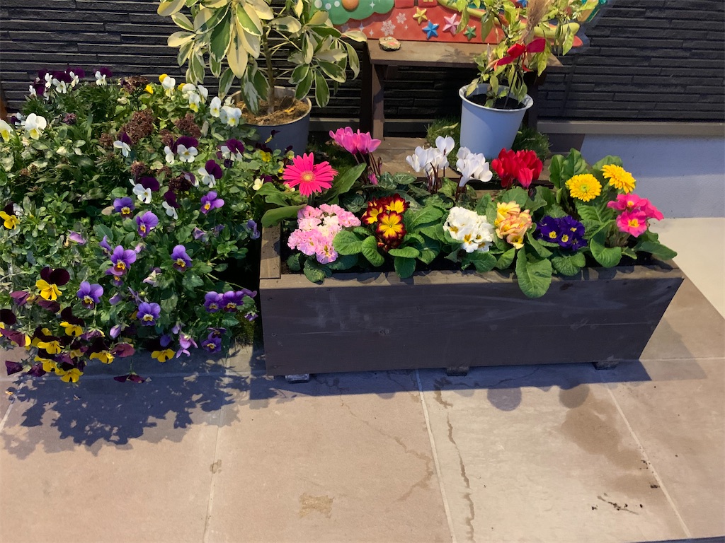 f:id:sakana78:20191209213242j:image