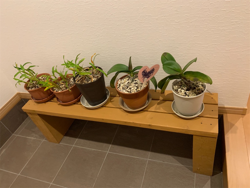 f:id:sakana78:20191210210057j:image