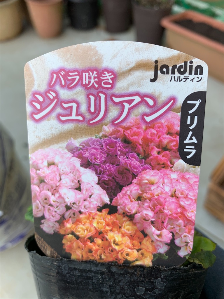 f:id:sakana78:20191223225343j:image