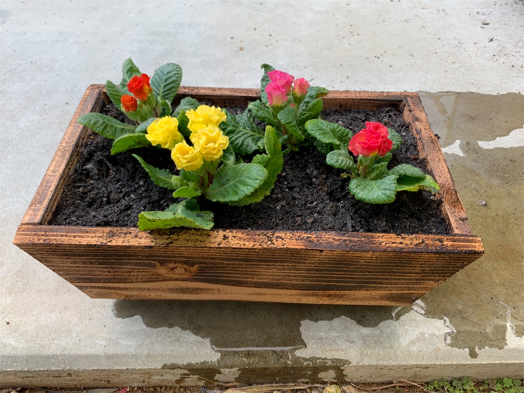 f:id:sakana78:20191223225417j:image