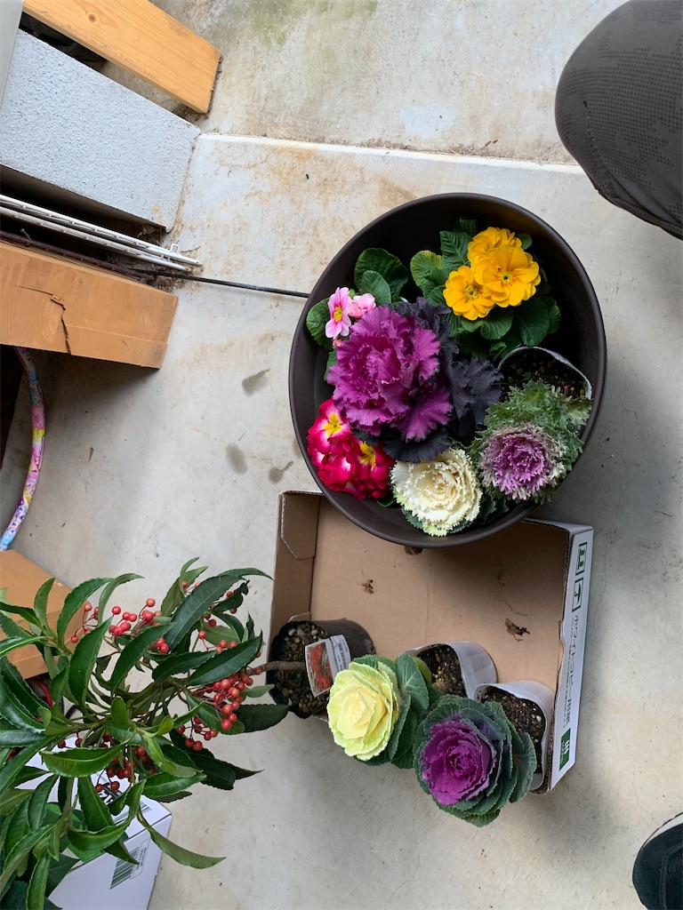 正月用寄せ植え とりあえず庭 ときどき工作