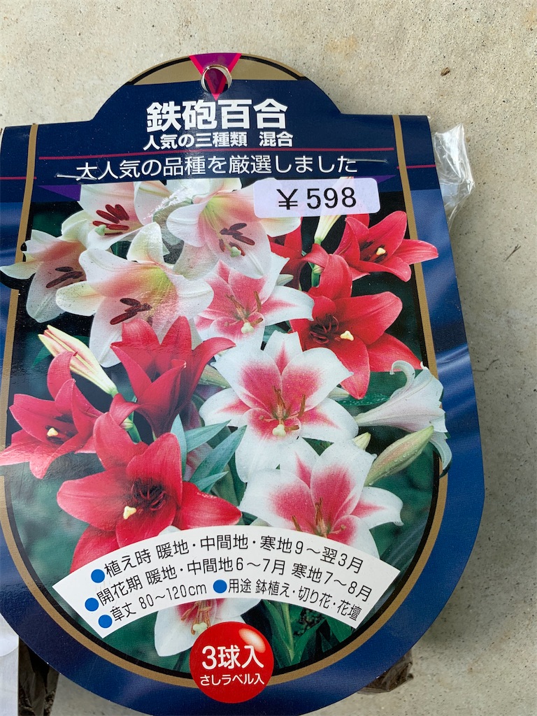 f:id:sakana78:20191225215628j:image f:id:sakana78:20191225215628j:image