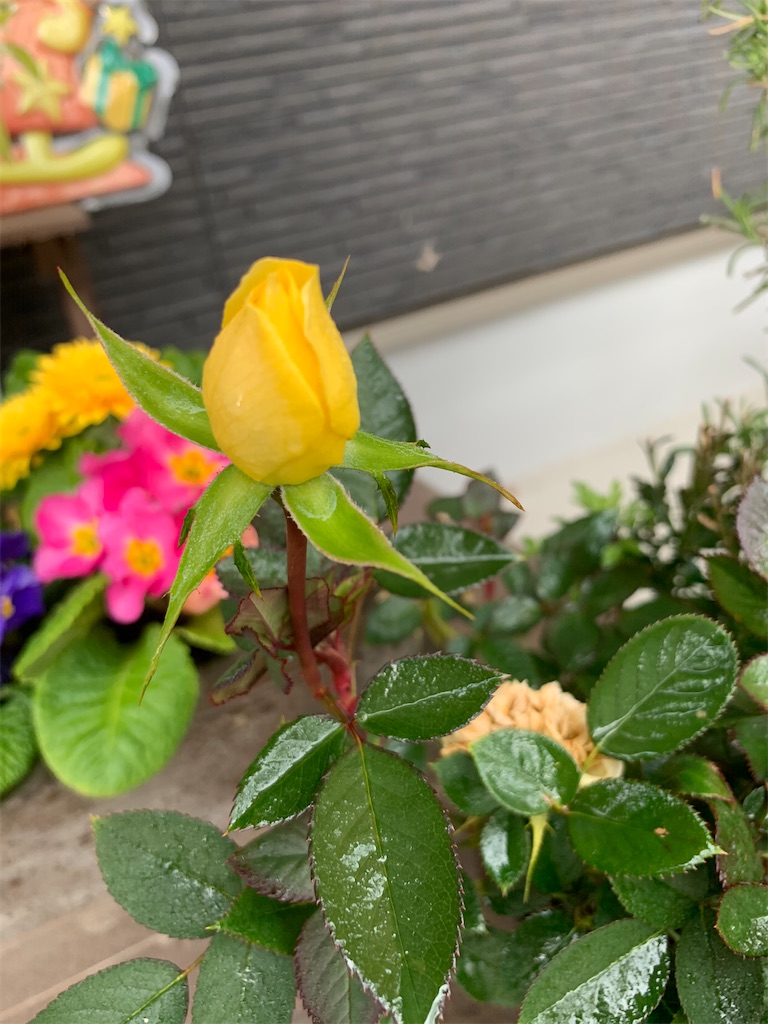 f:id:sakana78:20191228234251j:image