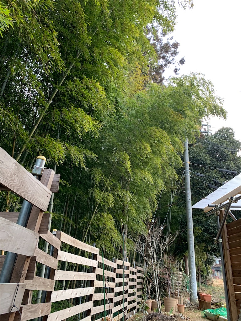 f:id:sakana78:20200122170832j:image f:id:sakana78:20200122170832j:image