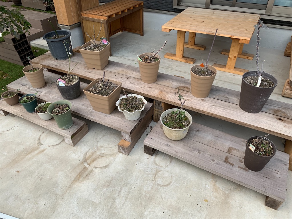 f:id:sakana78:20200201204355j:image