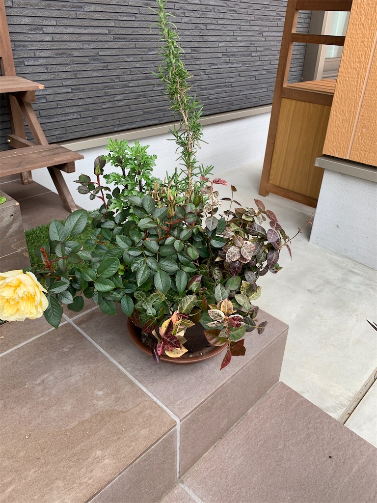f:id:sakana78:20200214154657j:image f:id:sakana78:20200214154657j:image