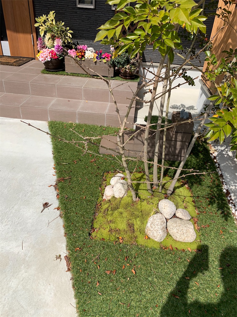 f:id:sakana78:20200301122733j:image