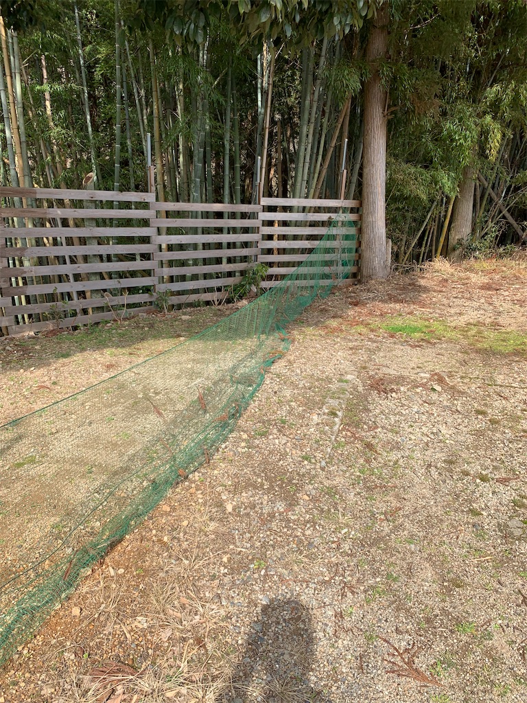 f:id:sakana78:20200306212457j:image