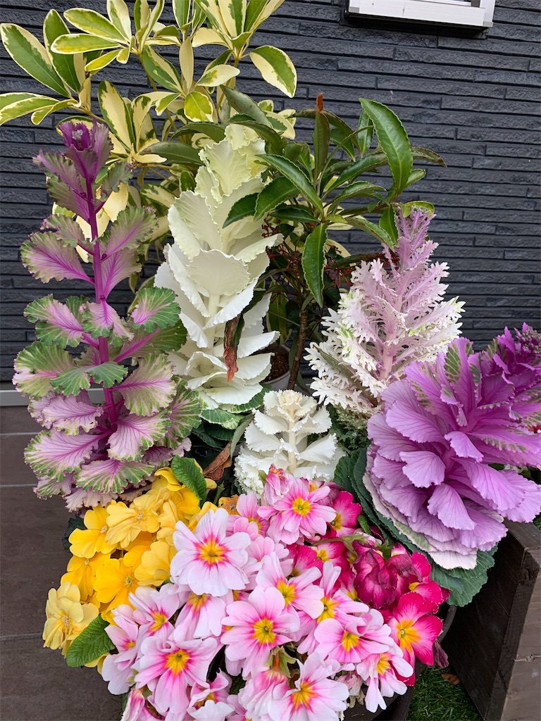 f:id:sakana78:20200314103233j:image f:id:sakana78:20200314103233j:image
