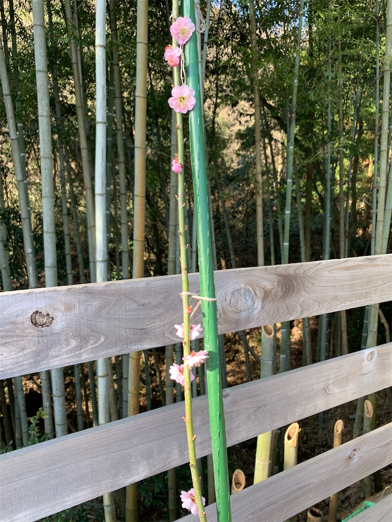 f:id:sakana78:20200321211155j:image
