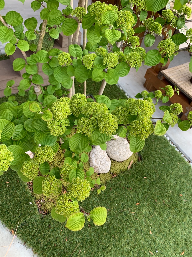 f:id:sakana78:20200417173036j:image