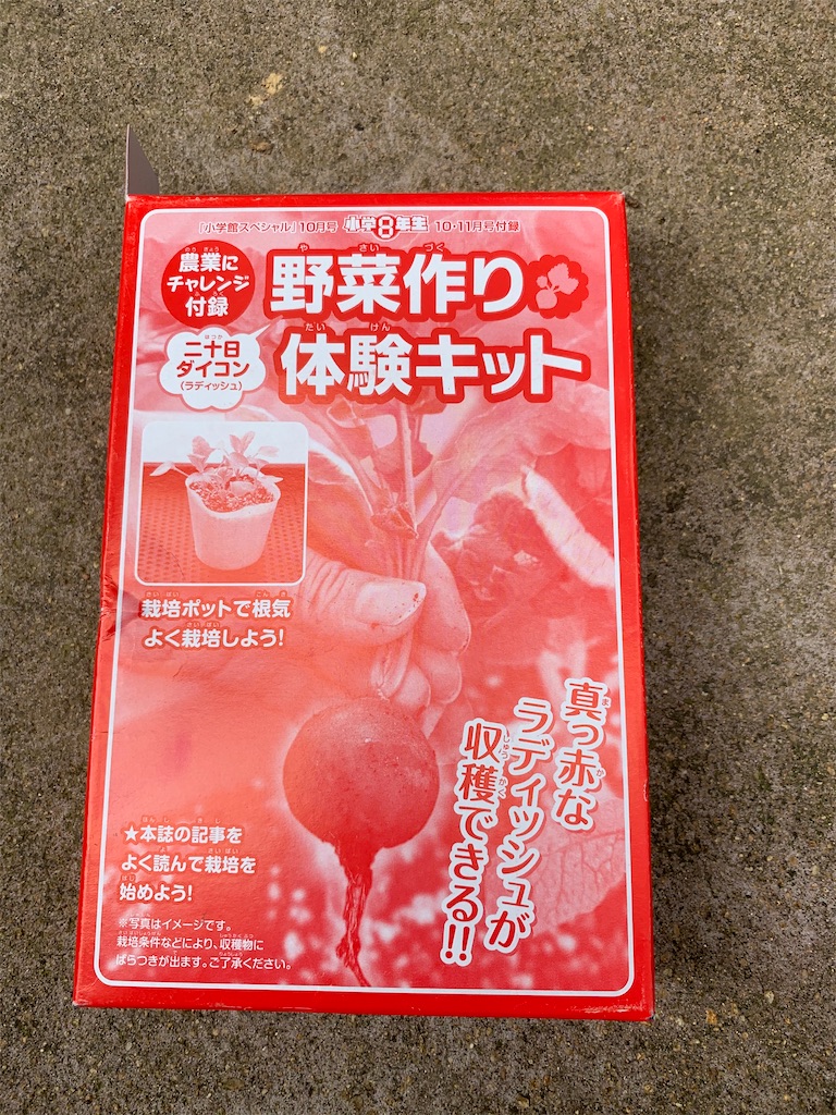 f:id:sakana78:20200428213615j:image f:id:sakana78:20200428213615j:image
