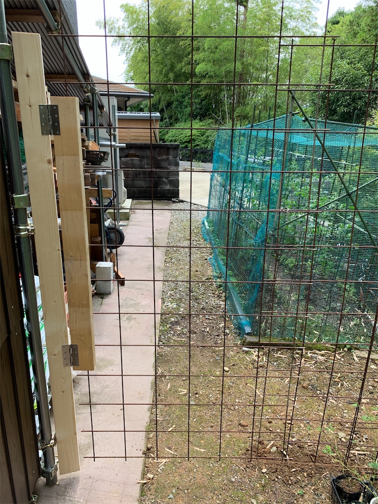 f:id:sakana78:20200617213219j:image