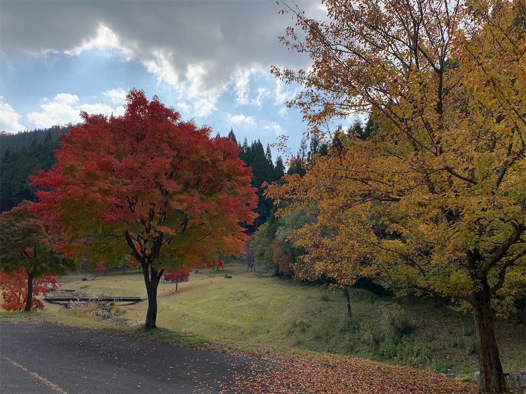 f:id:sakana78:20201112064946j:image f:id:sakana78:20201112064946j:image