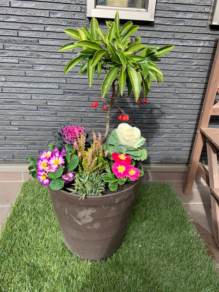 f:id:sakana78:20201128233501j:image f:id:sakana78:20201128233501j:image