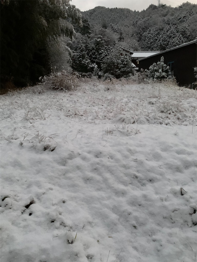 f:id:sakana78:20201217212656j:image