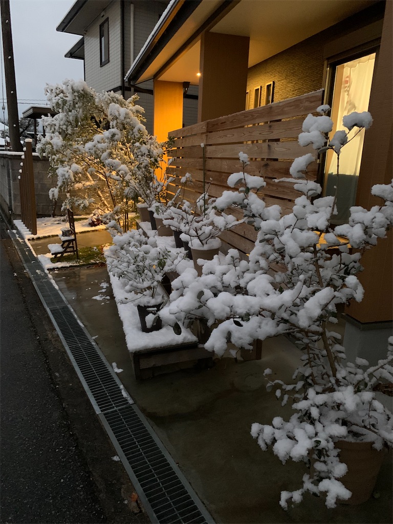 f:id:sakana78:20201217212710j:image