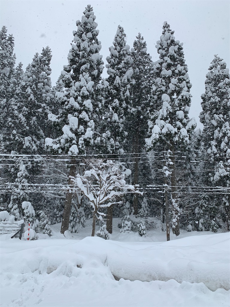 f:id:sakana78:20201221213510j:image
