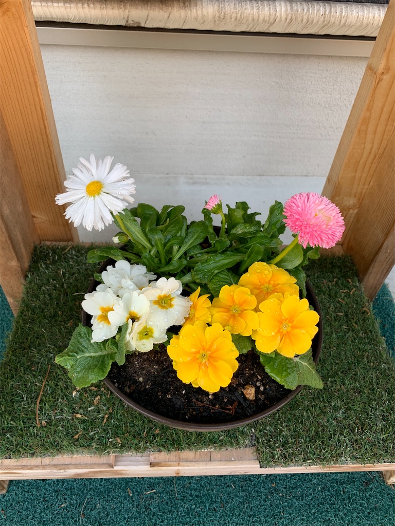 f:id:sakana78:20210204221250j:image