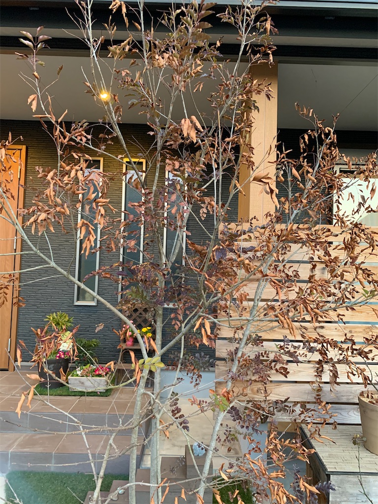 f:id:sakana78:20210225214958j:image