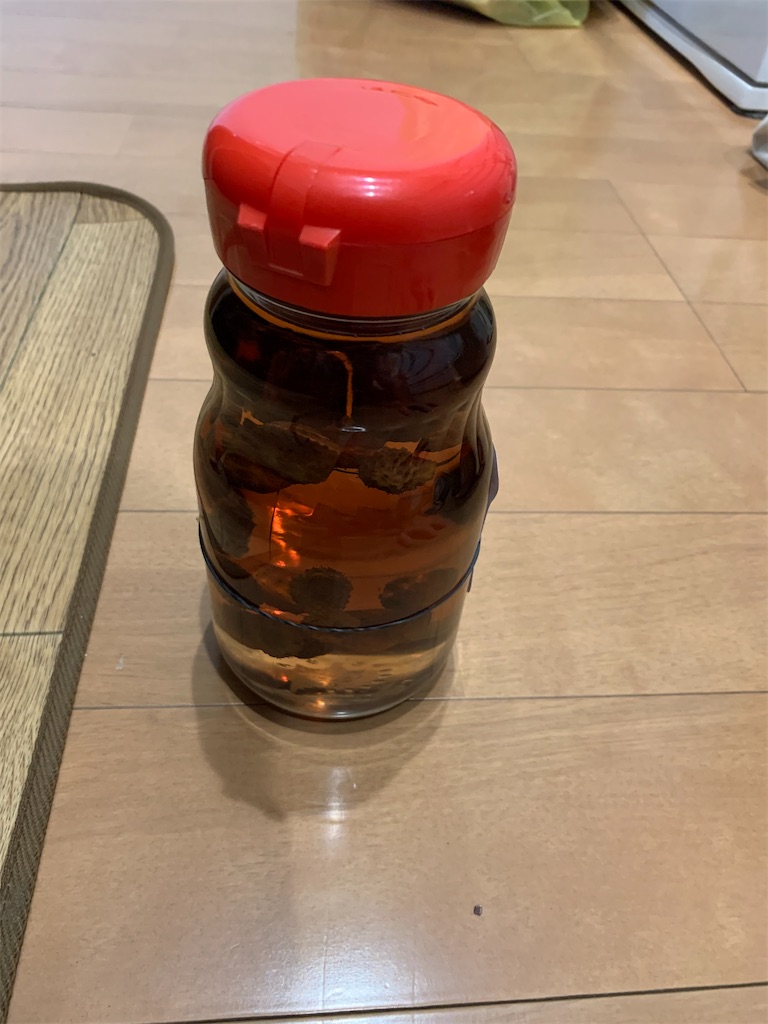 f:id:sakana78:20210304213533j:image