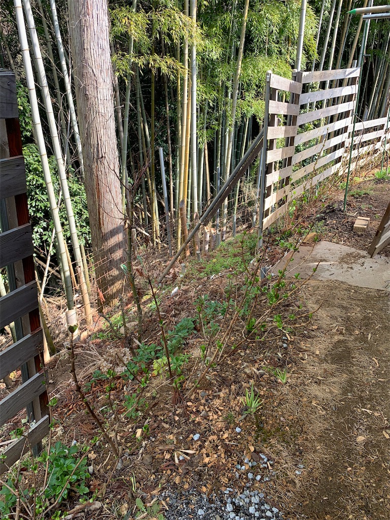 f:id:sakana78:20210318065313j:image