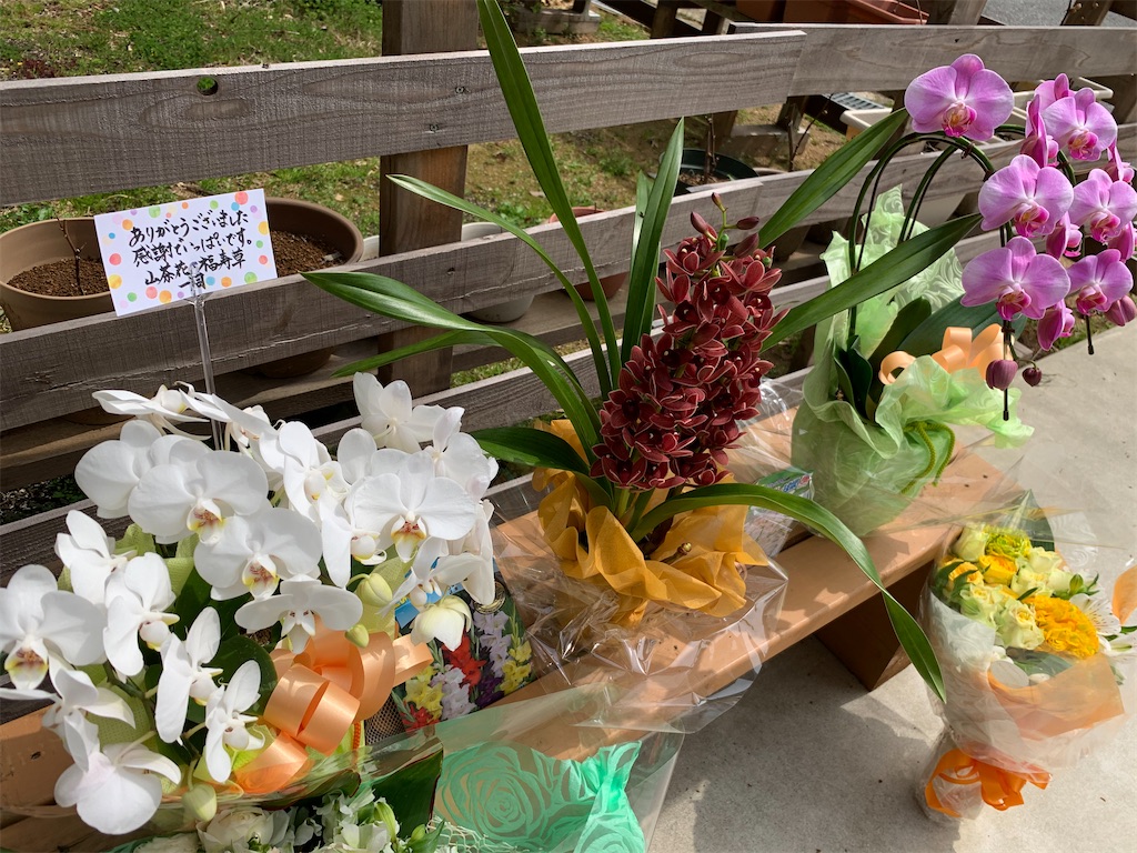 f:id:sakana78:20210331144819j:image