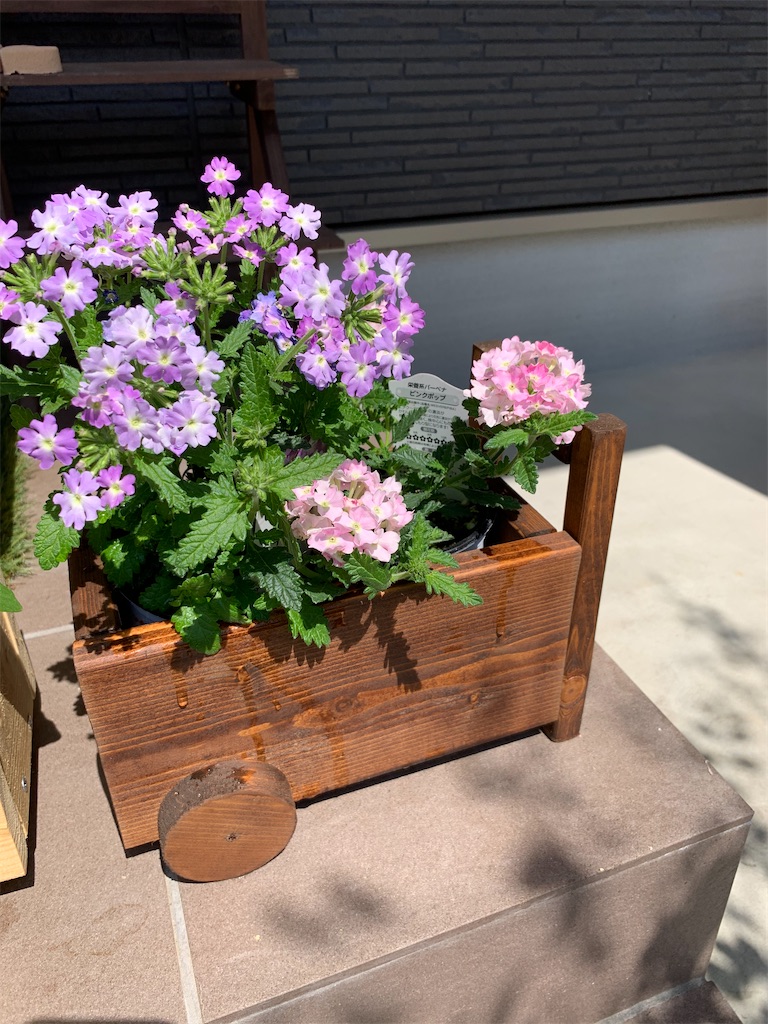 f:id:sakana78:20210421203410j:image f:id:sakana78:20210421203410j:image