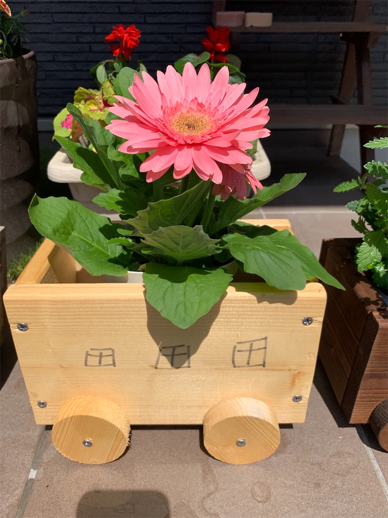 f:id:sakana78:20210421203415j:image f:id:sakana78:20210421203415j:image