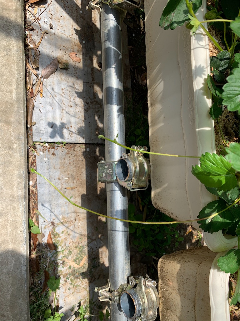 f:id:sakana78:20210425213237j:image