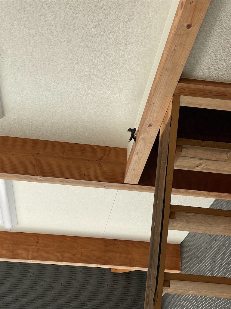 f:id:sakana78:20210528203453j:image