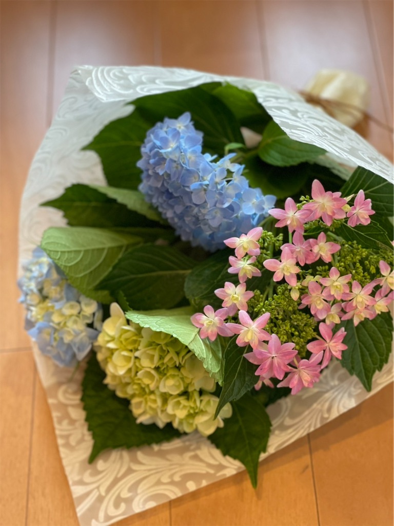 f:id:sakana78:20210612215836j:image